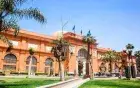 Cairo Museums Day Tour — Egyptian Museum & National Museum of Egyptian Civilisation